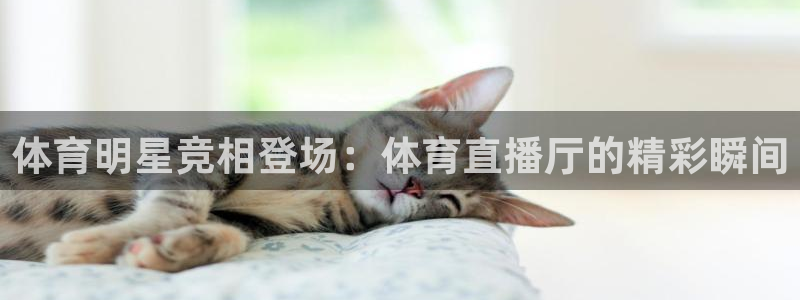 火凤直播：体育明星竞相登场：体育直播厅的精彩瞬间