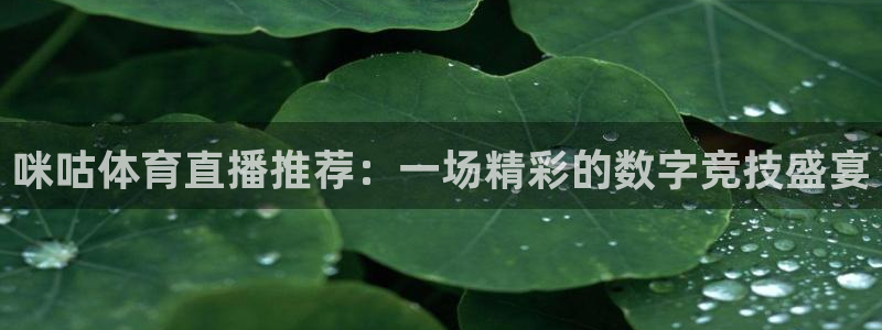 火凤直播体育：咪咕体育直播推荐：一场精彩的数字竞技盛宴