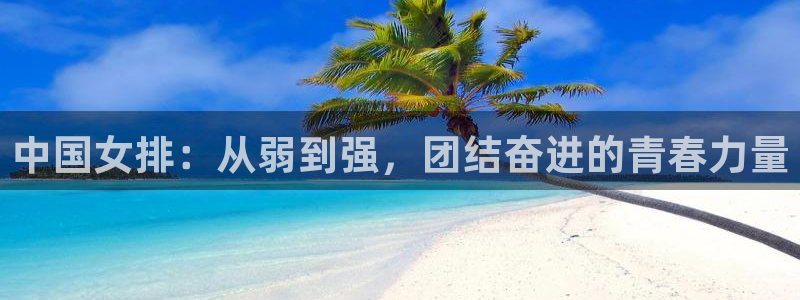 火凤体育免费直播在线观看：中国女排：从弱到强，团结奋进的青春力量