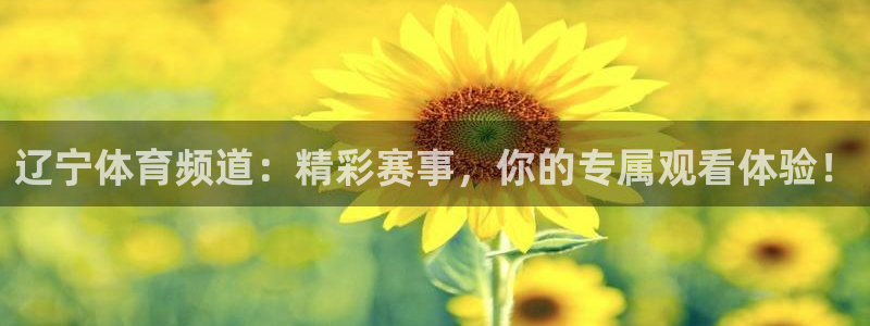 火凤体育免费直播入口：辽宁体育频道：精彩赛事，你的专属观看体验！