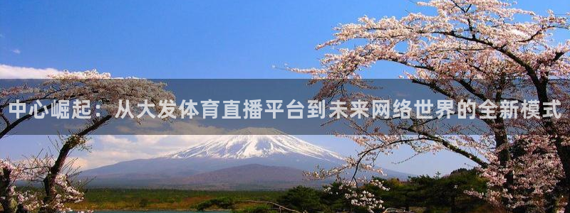 nba直播火凤直播：中心崛起：从大发体育直播平台到未来网络世界的全新模式