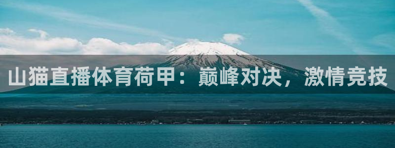 火凤体育直播：山猫直播体育荷甲：巅峰对决，激情竞技