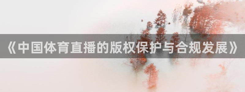 火凤体育直播免费比赛：《中国体育直播的版权保护与合规发展》