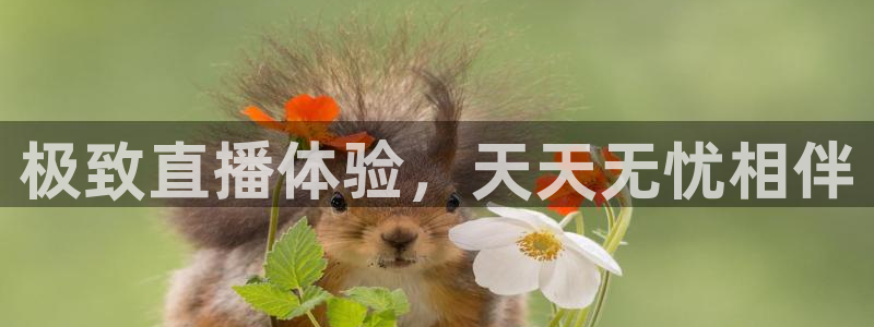 火凤体育直播在线：极致直播体验，天天无忧相伴
