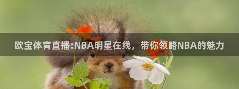 火凤体育直播在线：欧宝体育直播:NBA明星在线，带你领略NBA的魅力