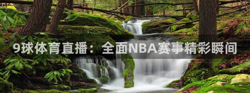 火凤直播体育免费直播火箭：9球体育直播：全面NBA赛事精彩瞬间