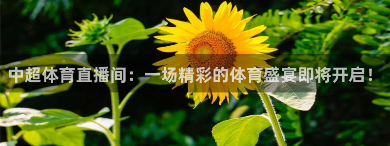 火凤直播体育app下载安装：中超体育直播间：一场精彩的体育盛宴即将开启！