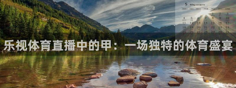 火凤直播足球免费观看