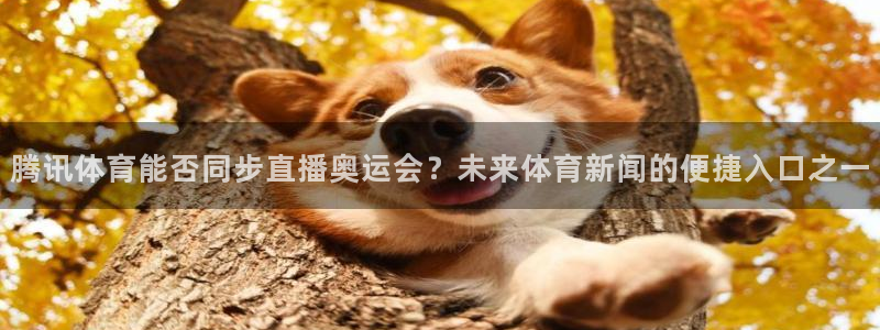 火凤直播五大联赛