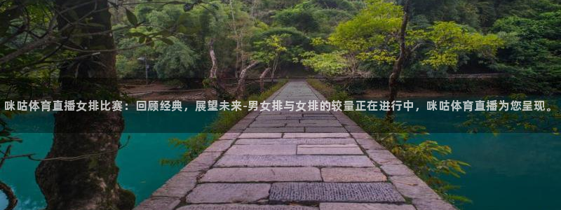 火凤体育直播在线观看高清