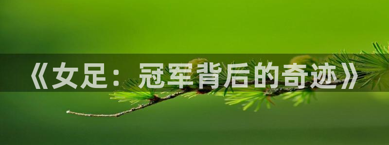 火凤体育直播在线观看高清