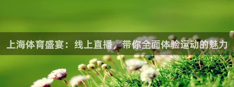 火凤直播体育足球：上海体育盛宴：线上直播，带你全面体验运动的魅力
