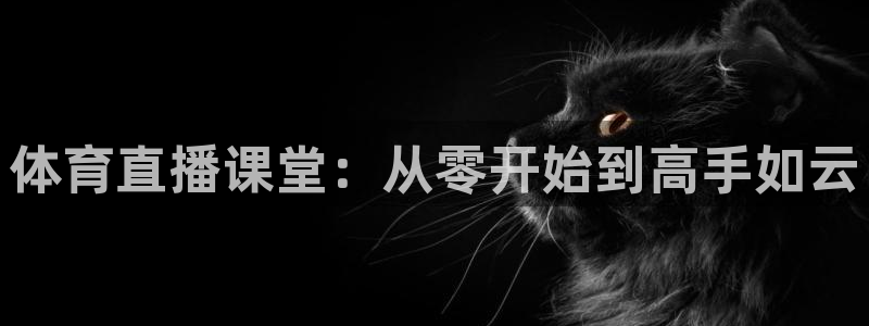 火凤足球比赛直播：体育直播课堂：从零开始到高手如云